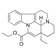 Body Supplements - Vinpocetine Vega Caps 90mg (60 pieces)