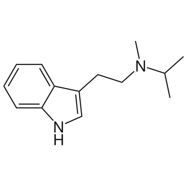 MiPT Powder